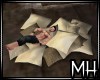 [MH] TC Floor Pillows