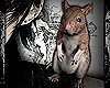 RAT