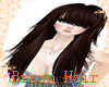 [J3J]Brown Hair