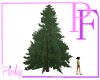 Animated Nite Pine Tree