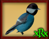 Blue Bird