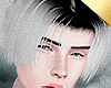 ✶Jaded 2T Hair