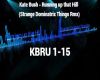 Kate Bush Runnig Rmx