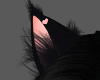 Dark Kitty Ears Peachy