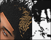 LB Fro 1