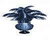 Plante blue 2