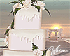 Beach Wedding Cake Poses