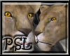 PSL Lioness Enhancer