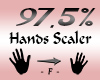 Hands Scaler 97,5%