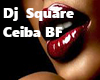 DJ Square Ceibe BF