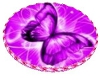 Butterfly OvalFloor/Pink