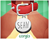 c; Sean's Collar