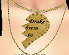 Drake necklace