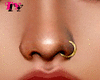 =TY= Gold Nose Ring