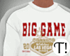 T! 49ers BigGame Sweater
