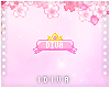 Diva Bow Badge