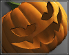 !MD Pumpkin Bag M - DRV