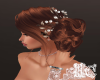 ~ Bridal Ginger~