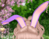C~Bunny Purple Ears