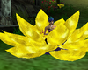 yellow meditation flower
