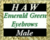 Emerald Green Eyebrows M