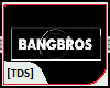 [TDS]Bangbros Banging