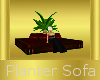 Planter Sofa
