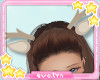 Kids Deer Antlers&Ears