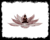 Chinagora Lotus/Zen