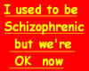 Schizophrenic funny tee