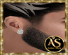 Silver Dollar Earrings