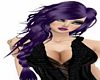 Purple carlota