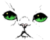 Cat Eyes animated