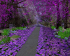 Lilac Paradise