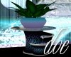 [d0e] Aquatica Plant