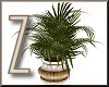 Z Naturalist Plant Lg V2