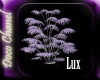 Lilac Lux Pot Plant