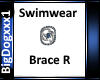 [BD]SwimwearBrace R