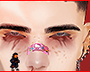Nijo brows