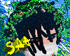 Locs Perere