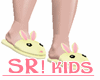 SR! Slippers