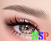 NSP MICROBLAND BRWN BROW