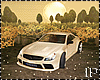Spring Flowers Field Car