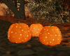 Pumpkins w/lights