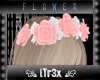 R | PinkWhite Rose Crown