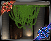 [C] Plants for wall