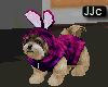 *JC*Cute Puppy (purple)