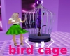 Dandy D Bird Cage