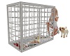 Puppy Cage W Poses
