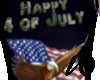 Happy 4 of July